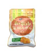 Kaneka Wakayama Unshu Mikan Gummy with Labre Lactic Acid Bacteria 40g