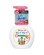 LION KireiKirei Medicated Foaming Hand Soap 250ml (Fruit Mix)