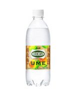 Asahi Wilkinson Tansan Plum P500ml