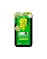 Asahi Mintia Breze Large Fruit Mint Tablets (Muscari Flavor) 30 tablets