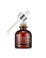 Mizon Snail Intensive Repair Elastic Anti-Wrinkle Low Irritaion Ampoule Serum 30ml