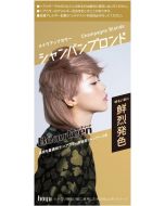 Hoyu Beautien Makeup Color Champagne Blonde 40g+88ml+12ml+5ml