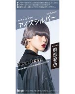 Hoyu Beautien Makeup Color Ice Silver 40g+88ml+12ml+5ml