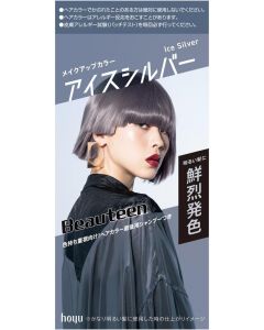 Hoyu Beautien Makeup Color Ice Silver 40g+88ml+12ml+5ml